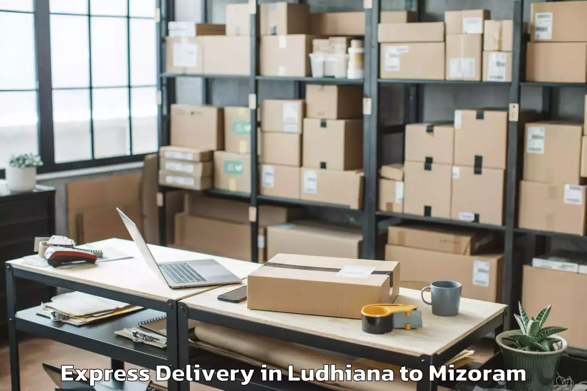 Leading Ludhiana to Lawngtlai Express Delivery Provider